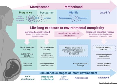 Unconscious Longing for Maternal Affection: A Deeper Exploration