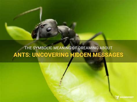 Uncover the Hidden Messages: Interpretations of Dreaming about Enormous Crimson Ants