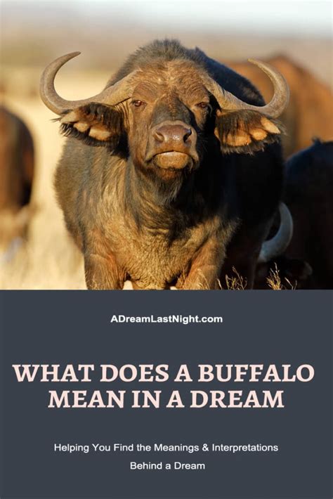 Uncover the Mystical Significance of Dreams Featuring Buffalos