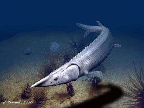 Uncovering the Enigmatic Lives of Prehistoric Fish Species