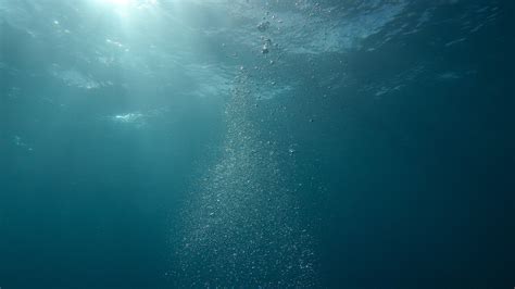 Uncovering the Fascinating Link between Azure Spheres and Marine Life