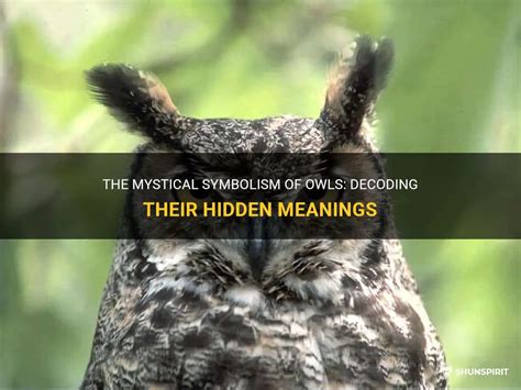 Uncovering the Hidden Meanings: Decoding Symbolic Imagery