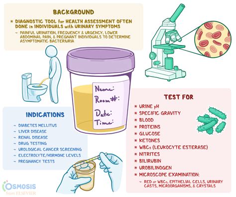 Uncovering the Importance of Urinary Symbols in the Analysis of Dreams