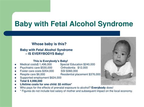 Uncovering the Reality: Alcohol and Fetal Development