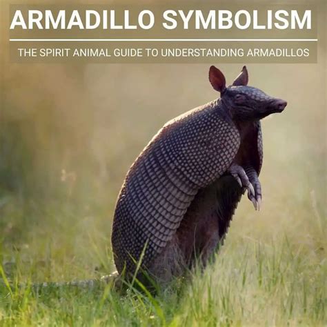 Uncovering the Symbolic Importance of Armadillos in the Study of Dream Psychology