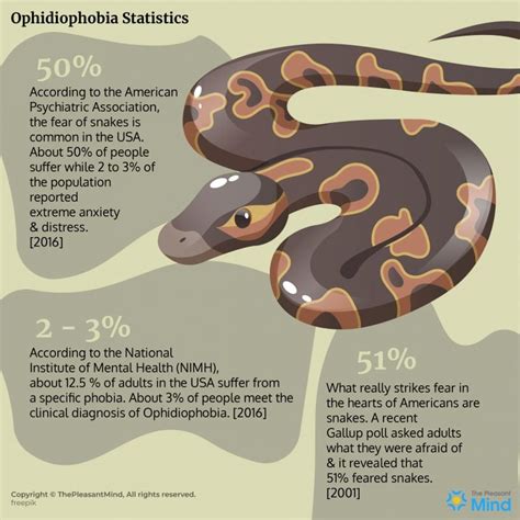 Uncovering the Underlying Causes of Ophidiophobia