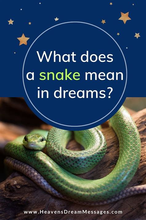 Understanding Dream Symbols: Snakes and Feet