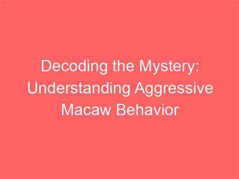 Understanding the Aggressive Behavior: Decoding the Attack