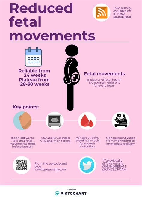 Understanding the Biology: What Triggers the Sensation of Fetal Movement?