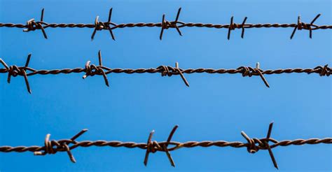 Understanding the Dual Nature of Barb Wire in Dreams: Protection or Entrapment?