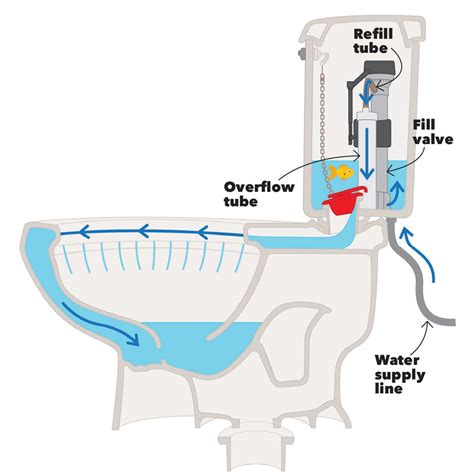 Understanding the Flushing Process: How Does a Toilet Work?