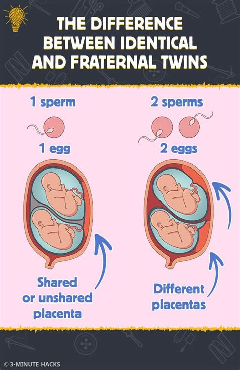 Understanding the Genetics of Twin Births