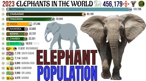 Understanding the Global Challenges Faced by Elephant Populations