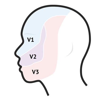 Understanding the Impact of Medications on Facial Sensation: Common Contributors