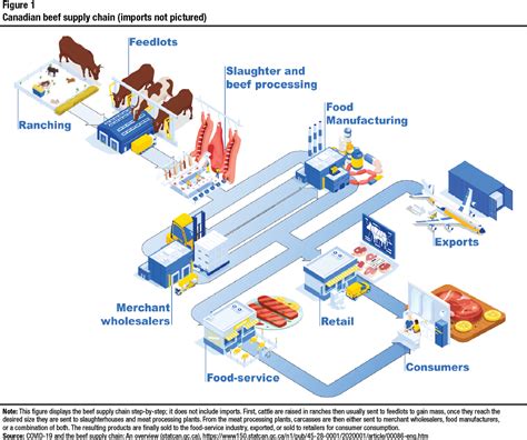 Understanding the Key Players in the Supply Chain of Meat