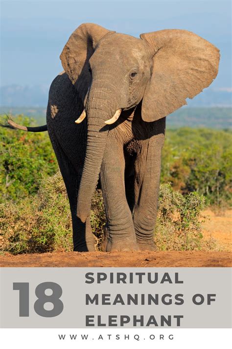 Understanding the Message: Elephant as a Symbol of Wisdom