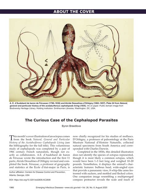 Understanding the Origins of Pervasive Imagery of Enlarged Cephalopod Parasites