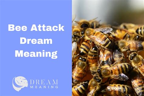 Understanding the Psychological Significance of Bee Attacks in Dreams