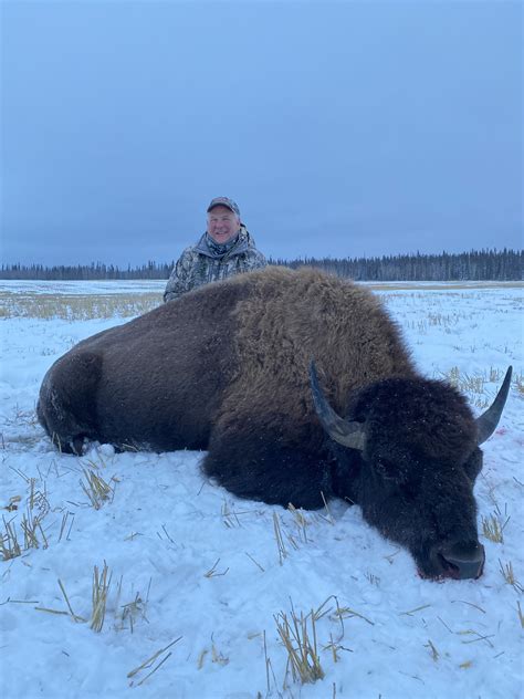 Understanding the Role of Personal Experiences in Fantasizing about Bison Hunting