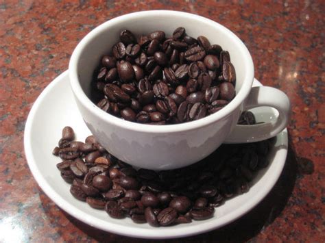 Understanding the Science behind a Delicious Cup of Coffee