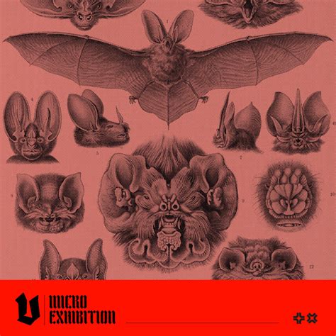 Understanding the Significance of Bat Symbolism across Cultures: A Comparative Analysis