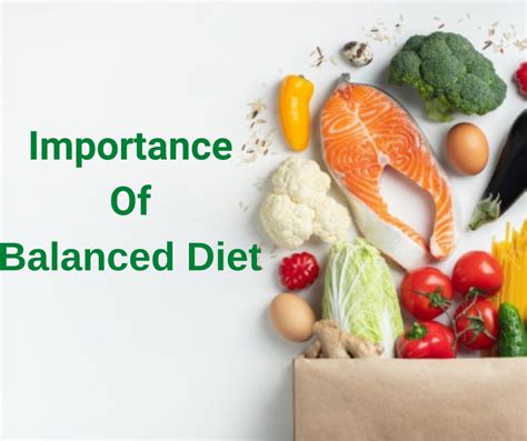 Understanding the Significance of Diet