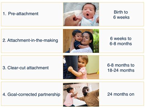 Understanding the Significance of Early Bonding: Exploring the Vitality of Initial Attachments in Infants