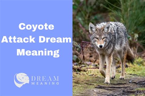 Understanding the Significance of a Dream Involving a Coyote's Bite