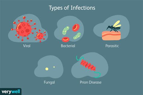 Understanding the Spread: How the Infection is Contracted and Transmitted