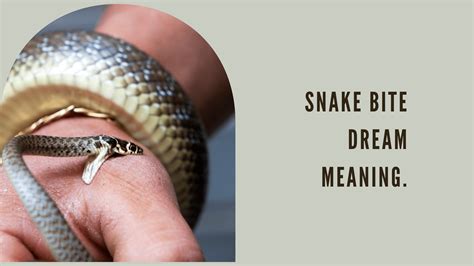 Understanding the Symbolic Meaning of Snake Bite Dreams