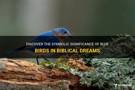 Understanding the Symbolic Significance of Birds in Dreams