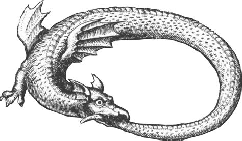 Understanding the Symbolic Significance of a Serpent Nipping Its Own Tail in Diverse Cultures