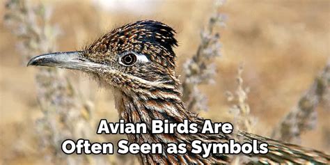 Understanding the Symbolism: Interpretation of Avian Incisor Encounters in Oneirism