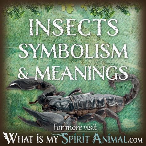 Understanding the Symbolism: Interpreting the Meaning of the Insect Find in Your Meal