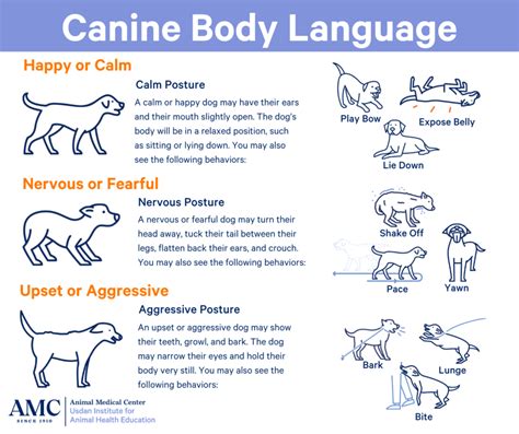 Understanding the Symbolism of Canine Consumption