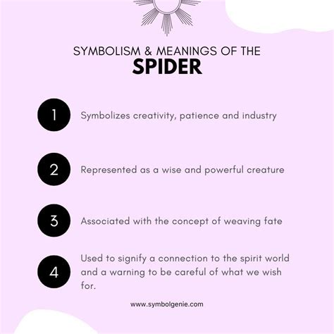 Understanding the Symbolism of Spiders in Different Cultures