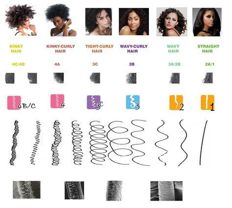 Understanding the Texture and Structure of Afro Hair