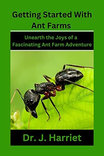 Unearth the Advantages of Possessing an Ant Farm for Education and Amusement