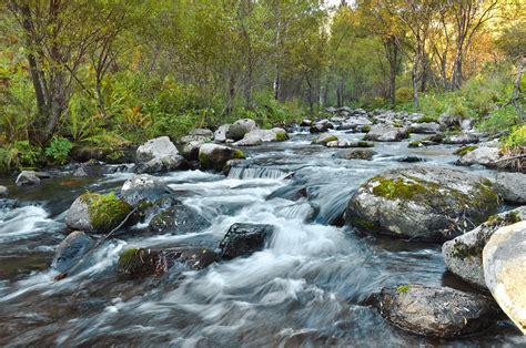 Unforgettable Experiences in the Transparent Flow: Engaging Pursuits in Pristine Streams