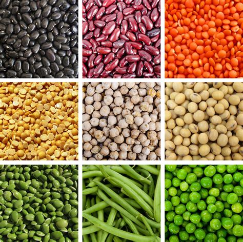 Unleash the versatility of savory legumes in diverse culinary traditions