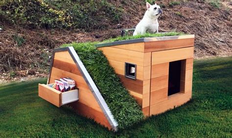 Unleashing Creativity: Unique and Unconventional Dog House Designs That Will Leave You Astonished