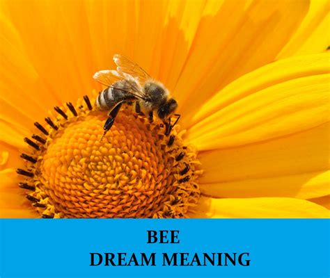 Unleashing the Power of Imagination through Bee Stings in Dreams