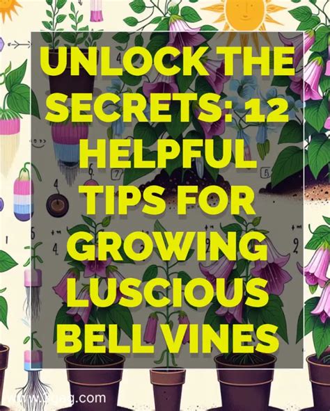 Unlock the Secrets of Vine Growing: Tips and Tricks for Achieving Success