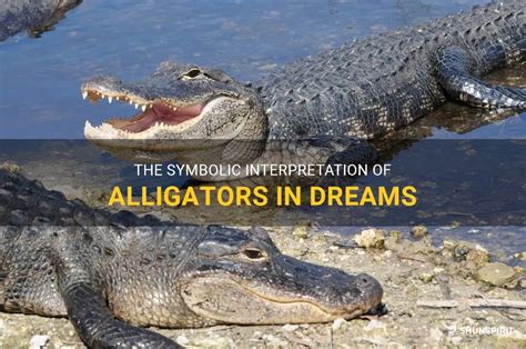 Unlocking Personal Empowerment through Interpretation of Alligator Dreams