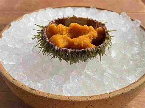 Unlocking the Culinary Delight of Indulging in Sea Urchins