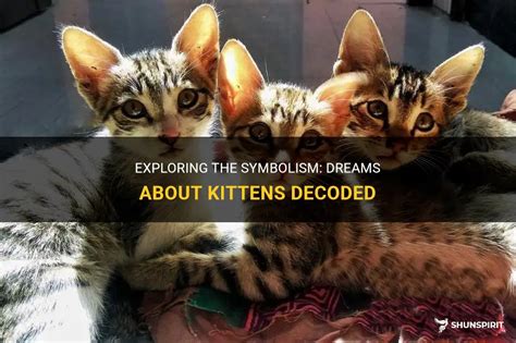 Unlocking the Hidden Meanings of Dream Symbols: Exploring the Symbolism of Kittens