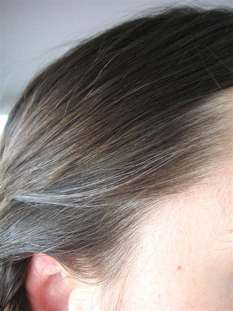 Unlocking the Meaning of Silver Strands: Decoding the Symbolism of Gray Hair in One's Dreams