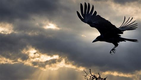 Unlocking the Symbolic Meaning: Deciphering the Significance of Crows Feasting