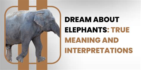 Unlocking the Wisdom and Intelligence of Dream Elephants