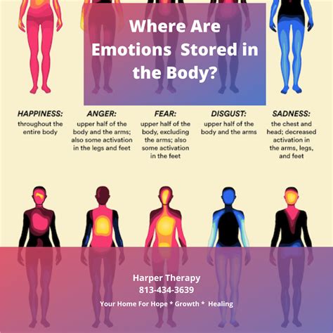 Unraveling the Emotions Associated with Feeling Trapped: Exploring the Ensnared Sensations